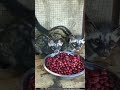 How China Makes The World S MOST EXPENSIVE Coffee Kopi Luwak