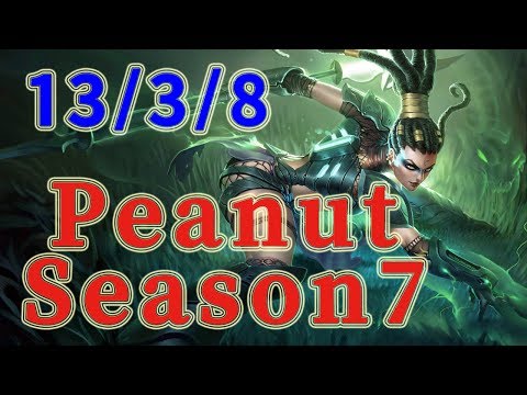 SKT T1 Peanut Nidalee Jungle vs Elise Patch 7.14
