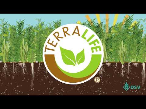 DSV TerraLife ® Art und Sorte machen den Unterschied