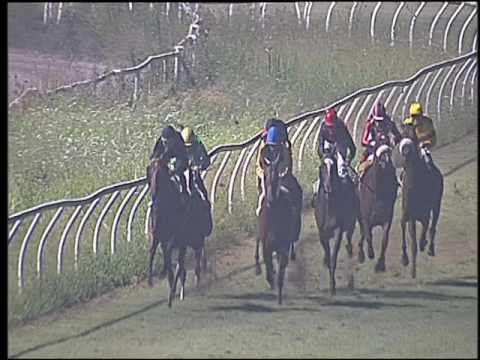 Galoppo 20/08/2016 - 4° corsa