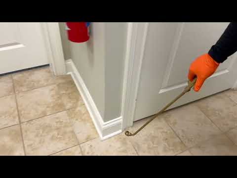 Ants Found in the Customer's Kitchen in Farmingdale, NJ