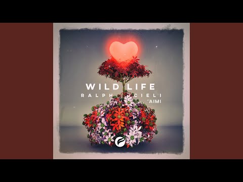 Wild Life (feat. Aimi)