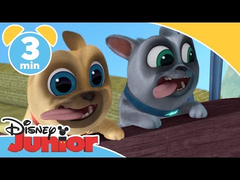 Valpvänner | Äventyr på Kinesiska muren - Disney Junior Sverige