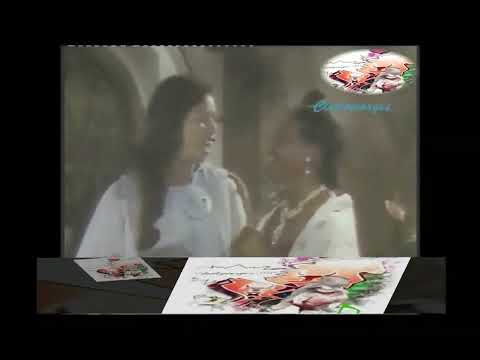 Ny kibo saokin'ny nahin