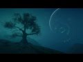 Tanox Shooting Stars Instrumental