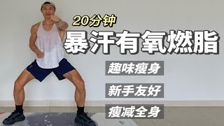20分钟暴汗有氧燃脂运动｜提高身体协调、瘦减脂肪
