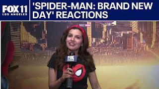 Fans React To Spider Man: Brand New Day