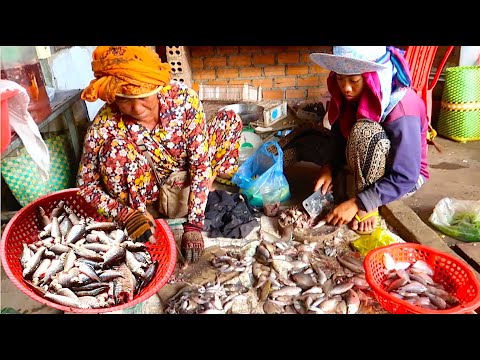 Prek Luong Market | Cambodia Countryside Morning Market