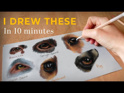 How to Draw Eyes | Easy Step by Step Dog's Eyes