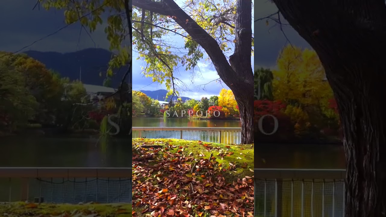 YouTube Short thumbnail