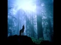 Sonata Arctica - Revontulet