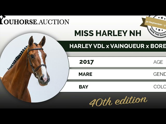 Miss Harley NH @ Training
