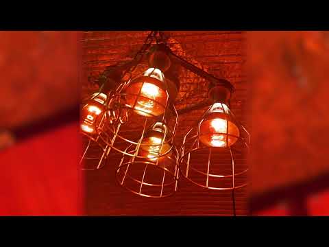 @BiohackerTodd Shows How to Assemble the Sauna Fix Hot Yoga Tent