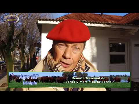 Resumen de remate mensual de Jorge de la Serna