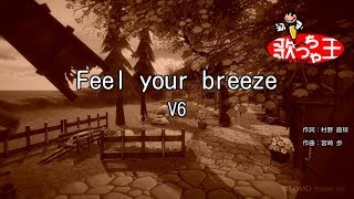 【カラオケ】Feel your breeze/V6