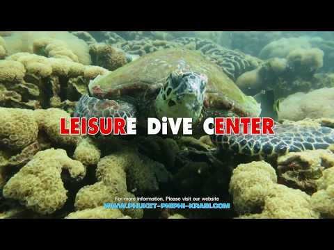 download lagu mp3 mp4 Leisure Dive Center Phi Phi, download mp3 Leisure Dive Center Phi Phi free download mp3, download mp3 Leisure Dive Center Phi Phi