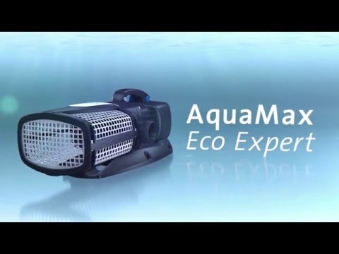 Watch Video on YouTube