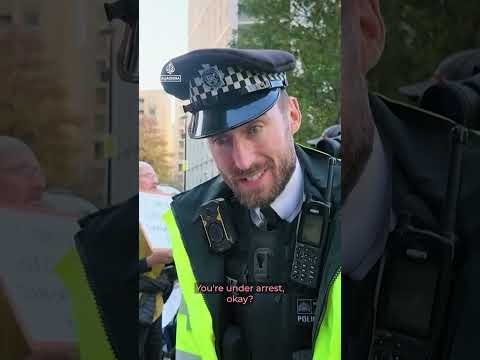 Palestine Action supporters arrested outside US embassy in London