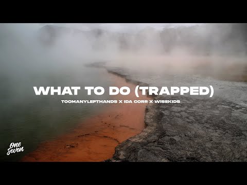 TOOMANYLEFTHANDS, Ida Corr, WISEKIDS – What To Do (Trapped)