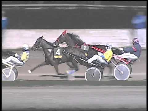 Trotto 26/02/2015 - 8° corsa