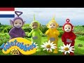 Teletubbies: Het cijfer vier | 1527 | kinder programmas | tekenfilms | animatie
