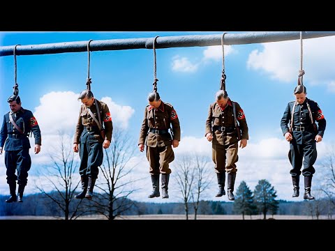 Die 12 Nachfolgeprozesse von Nürnberg das Schicksal der verurteilten Nazis