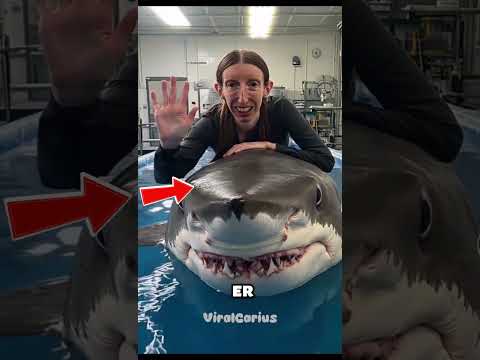 Die 5 Tiere mit den stärksten Bissen der Welt 🐊🦈