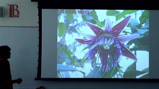 LBCC - "A Passion For Passion Flowers," Presented by Jorge Ochoa