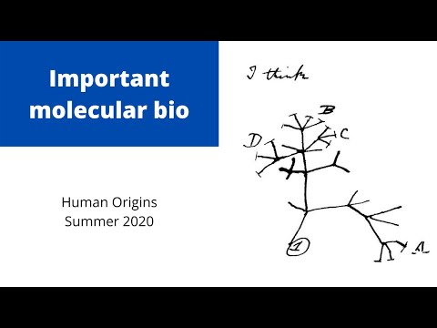 Important concepts in molecular biology
