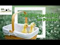 Why We Re Moving Our Buff Ducklings To The Pasture