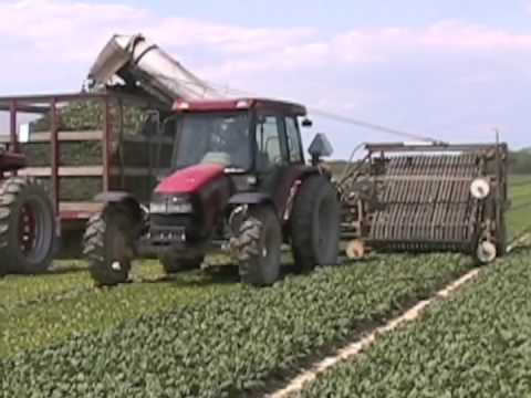 How to Use a Disc Harrow Model 300