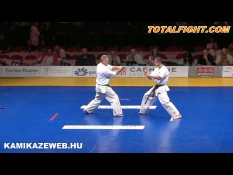 Sensei Zsiga Zsolt Kyokushin Demonstration