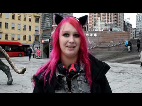 Inside the Minds of People Who Think They Are Animals: Dogs, Cats, Horses, and More