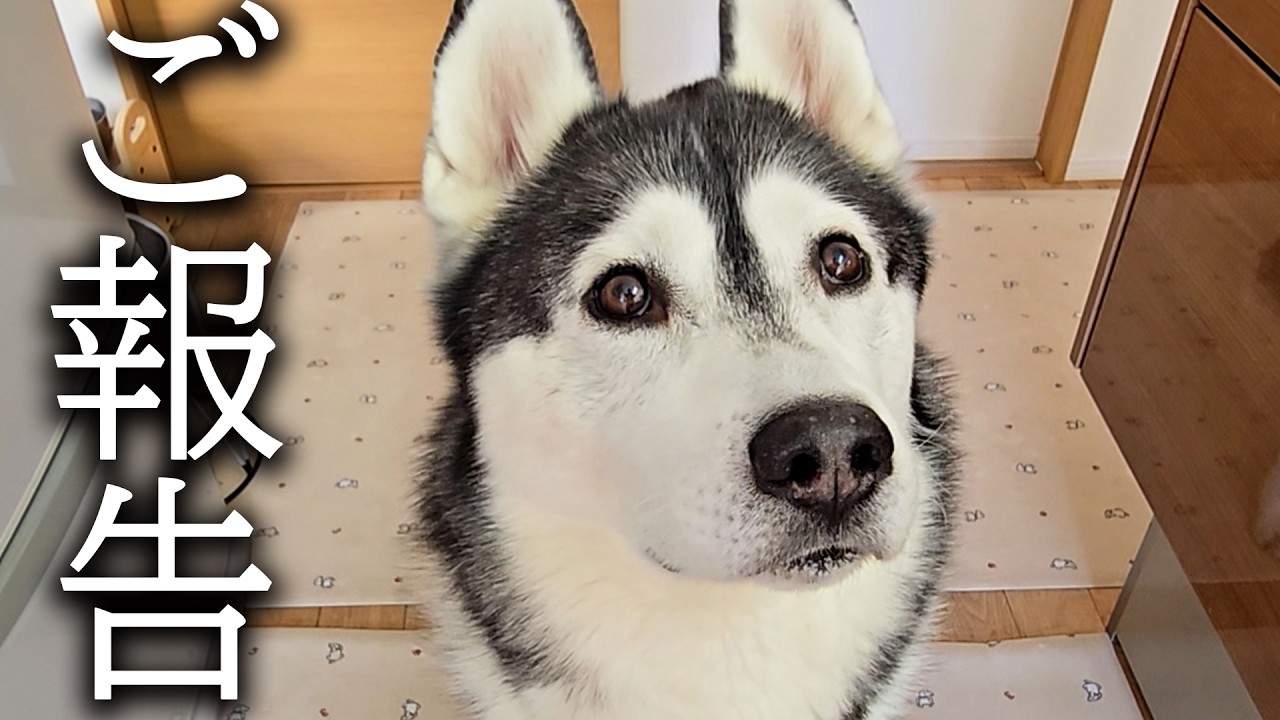 嬉しいご報告があります...