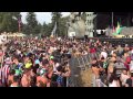 Allison Wonderland Full Set 2015 Electric Forest ...