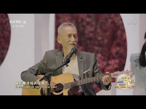 Chinese music “A Spray of Plum Blossoms” (English Lyric Sub)  一剪梅 陈彼得 英文字幕