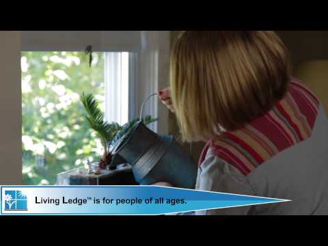 Living Ledge Vertical Garden Container - What Is It?