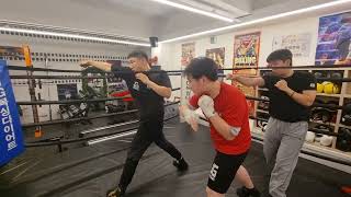 링줄타며 위빙연습🥊마이크 타이슨 훈련법