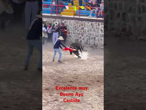 Ayo Castilla Arequipa
