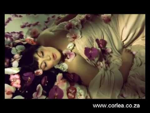 download lagu mp3 mp4 Sonvanger Corlea, download lagu Sonvanger Corlea gratis, unduh video klip Sonvanger Corlea