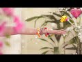 New Whatsapp Status Video 2023 Love Status Hindi Song Status 2023 New Status 2023