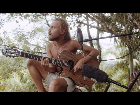 Cantante Dourado - Voei Sabiá