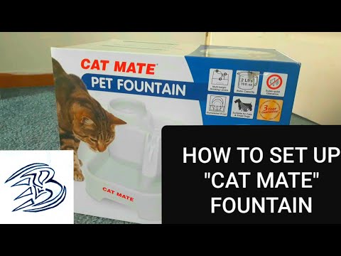 How To Set Up A Cat Mate Fountain. |GUIDE|