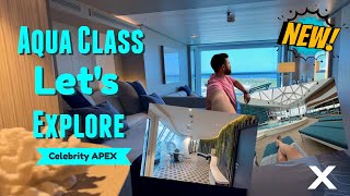 Celebrity Apex | Aqua Class cabin 10229 | Full Tour and Review