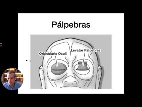 Aula Anatomia e fisiologia Ocular   Liga de Oftalmologia UFC