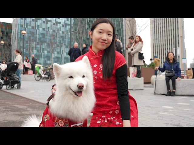 Lunar New Year 2026 — Greenwich Peninsula