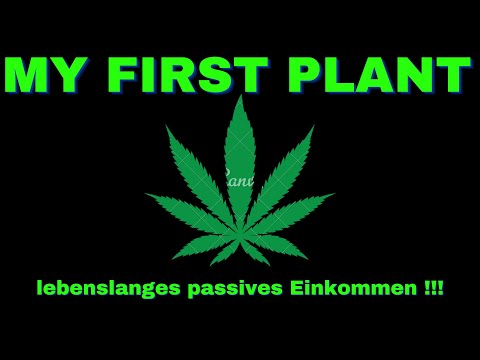 , title : 'My first Plant - lebenslanges passives Einkommen!'