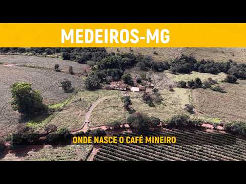 A Beleza da Fazenda Raiz em Minas Gerais | Voo Cinematográfico
