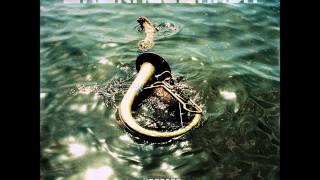 LaBrassBanda-Doda Hos-Übersee