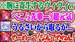 ぺこら先輩の新衣装にヴィヴィが沢山居て嬉しかったヴィヴィちゃんww【ホロライブ/綺々羅々ヴィヴィ/兎田ぺこら】